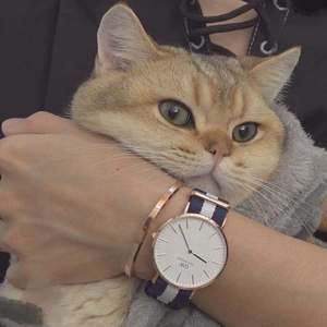 外企富婆和健硕黑人3p
